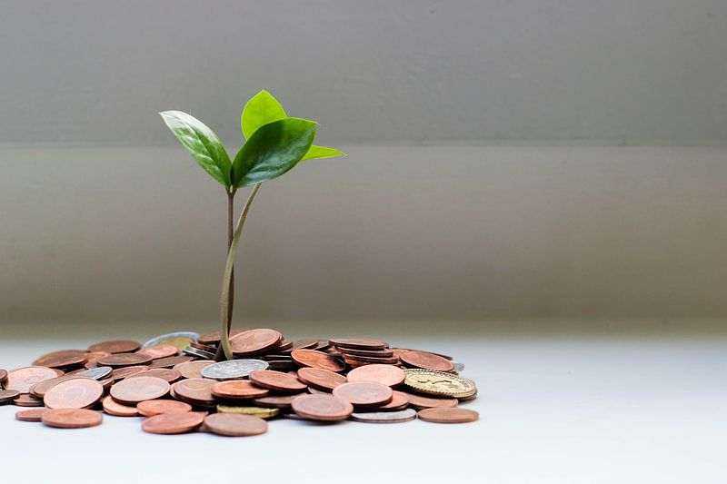 Avalanche vs. Snowball: Which Debt Payoff Strategy Saves More?